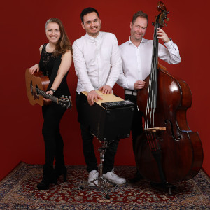 Foto 3 van Acoustic Collection