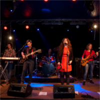 Foto 3 van De Koffers