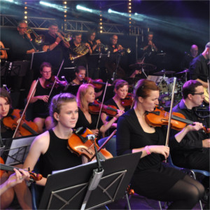 Foto 3 van dynamic orchestra