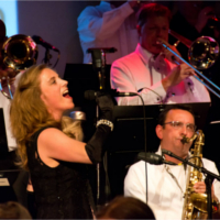 Foto 5 van Fellows Bigband