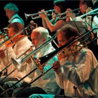 Foto 7 van Fellows Bigband