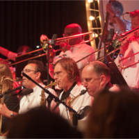 Foto 8 van Fellows Bigband