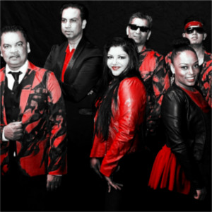 Foto 4 van Latino BM Royale XXL