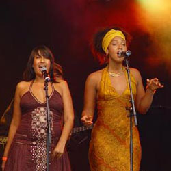 Foto 2 van Orange Grove