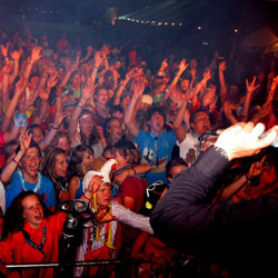 Foto 6 van Whizzle